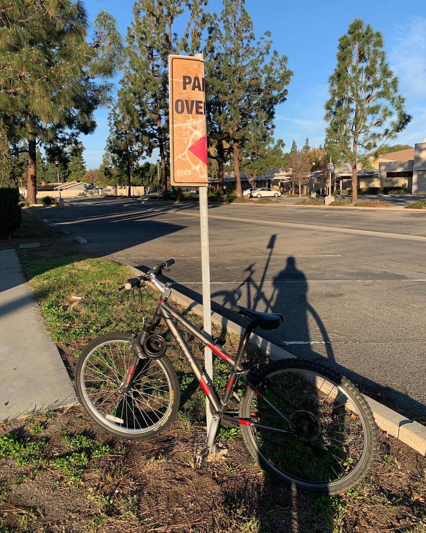 Bicycle Shadow