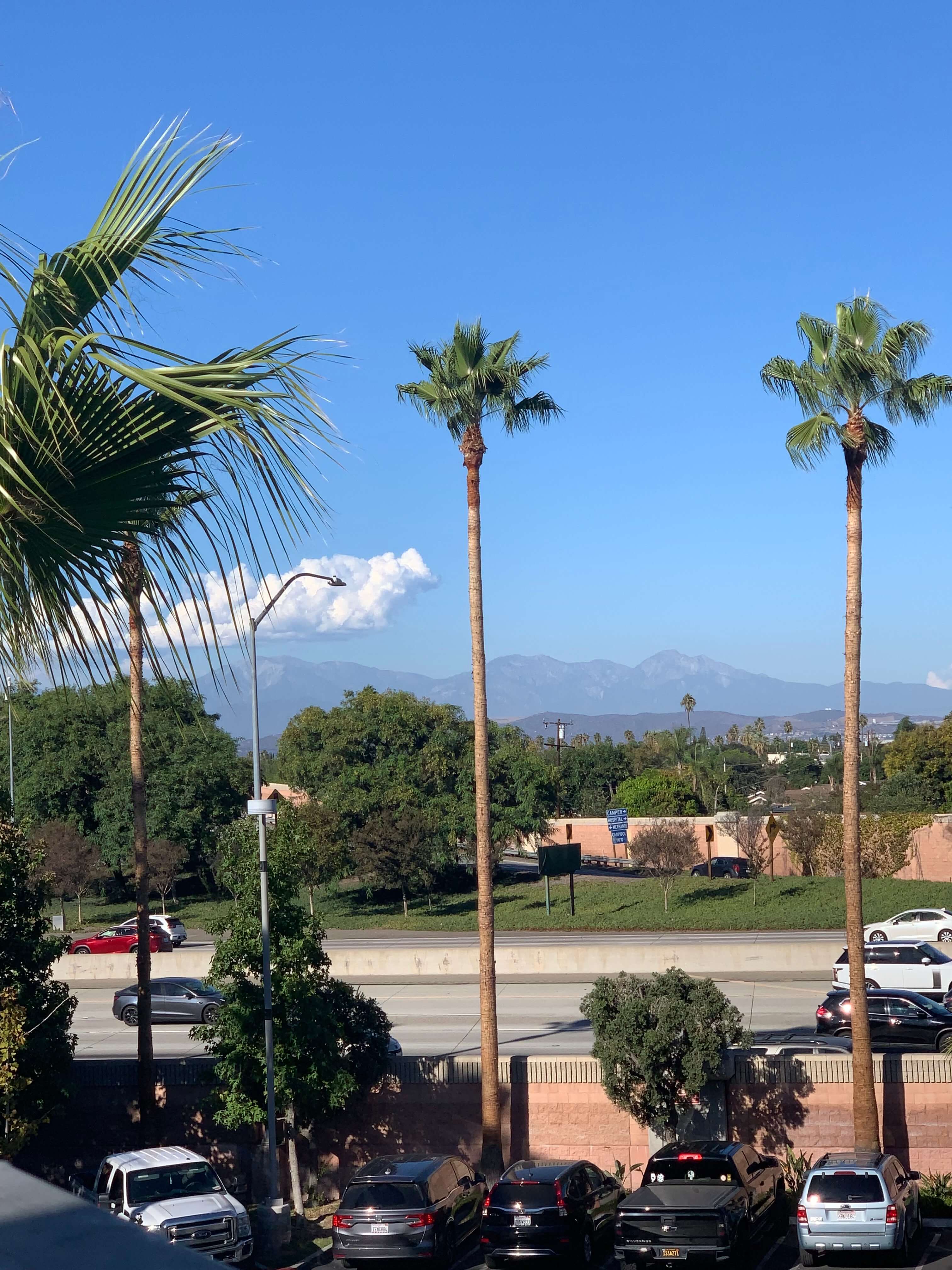 Clouds and Palm Trees