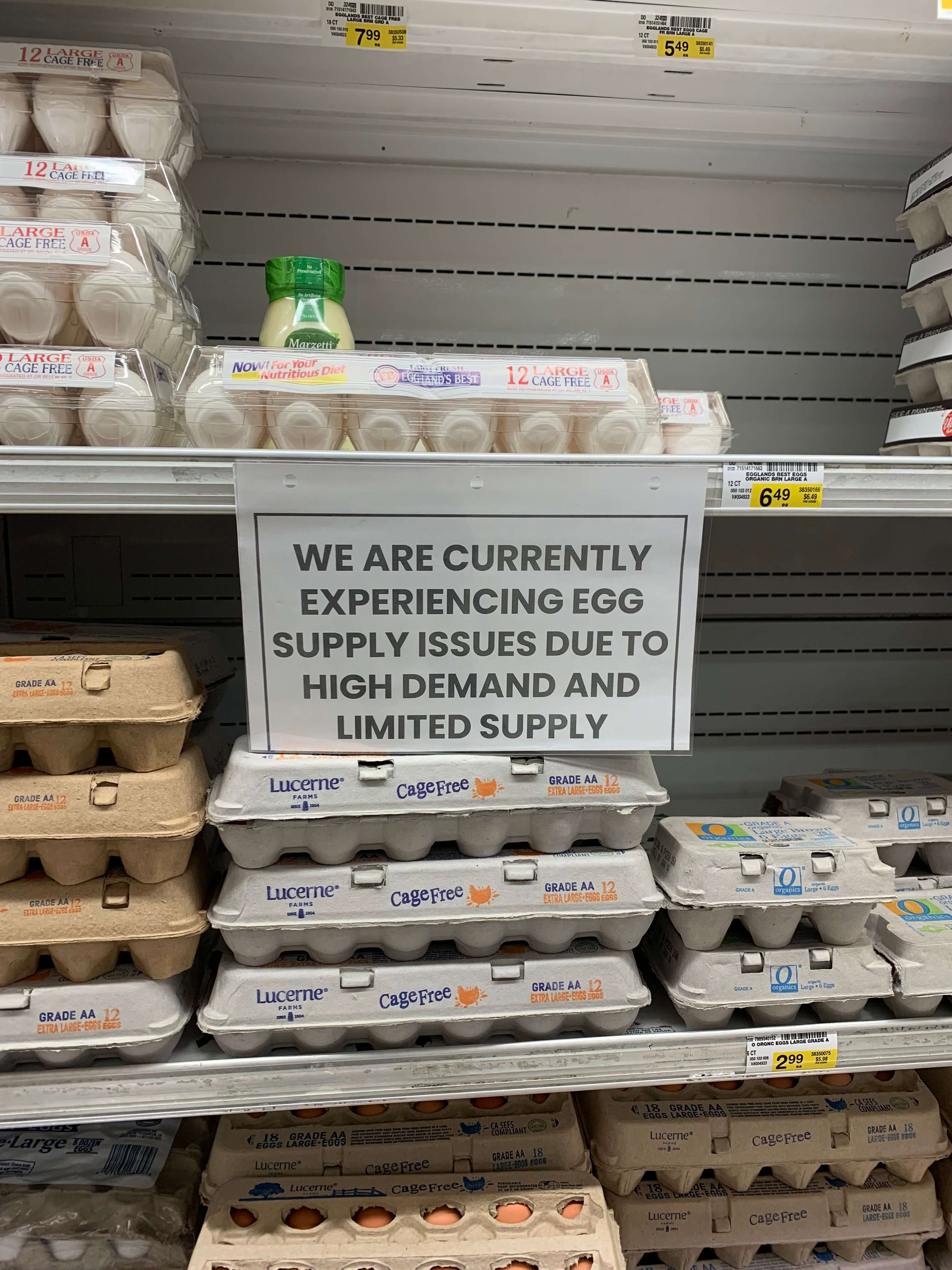 Egg Supply